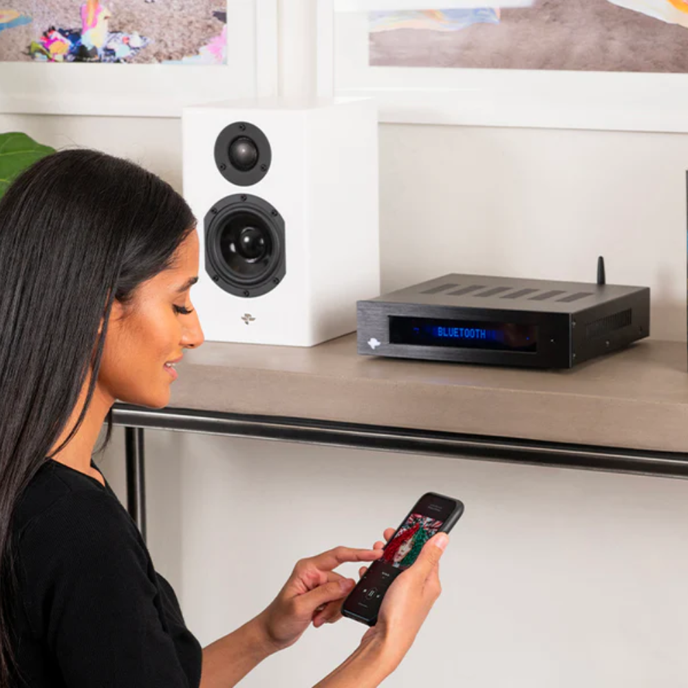 KIN PLAY MINI Bluetooth Amplified Bookshelf Speaker (pair)