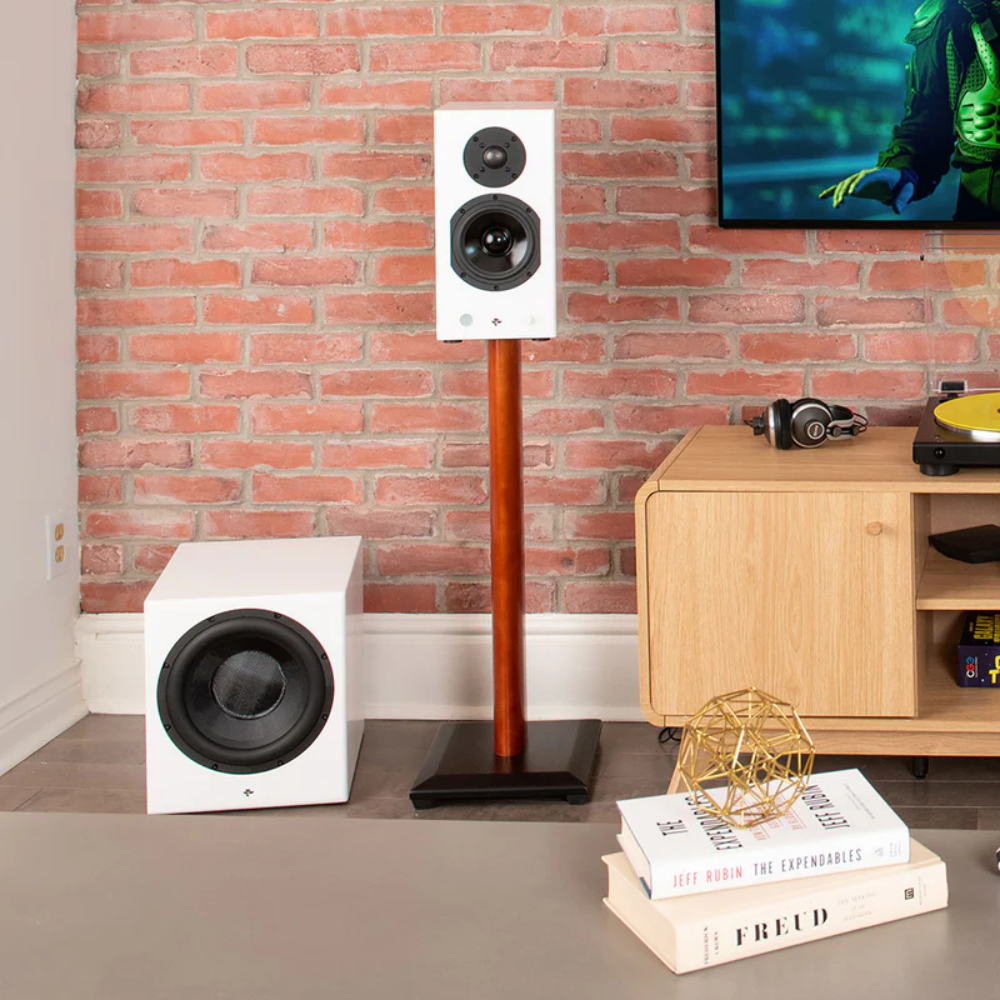 KIN SUB 10 Powered 10” inches Subwoofer Wireless (unit)