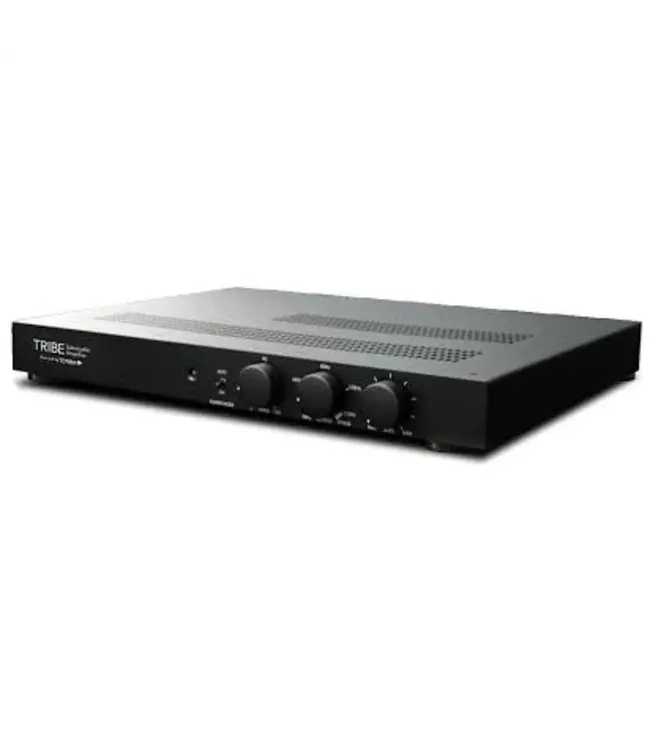Totem Tribe Subwoofer Amplifier (Demo)