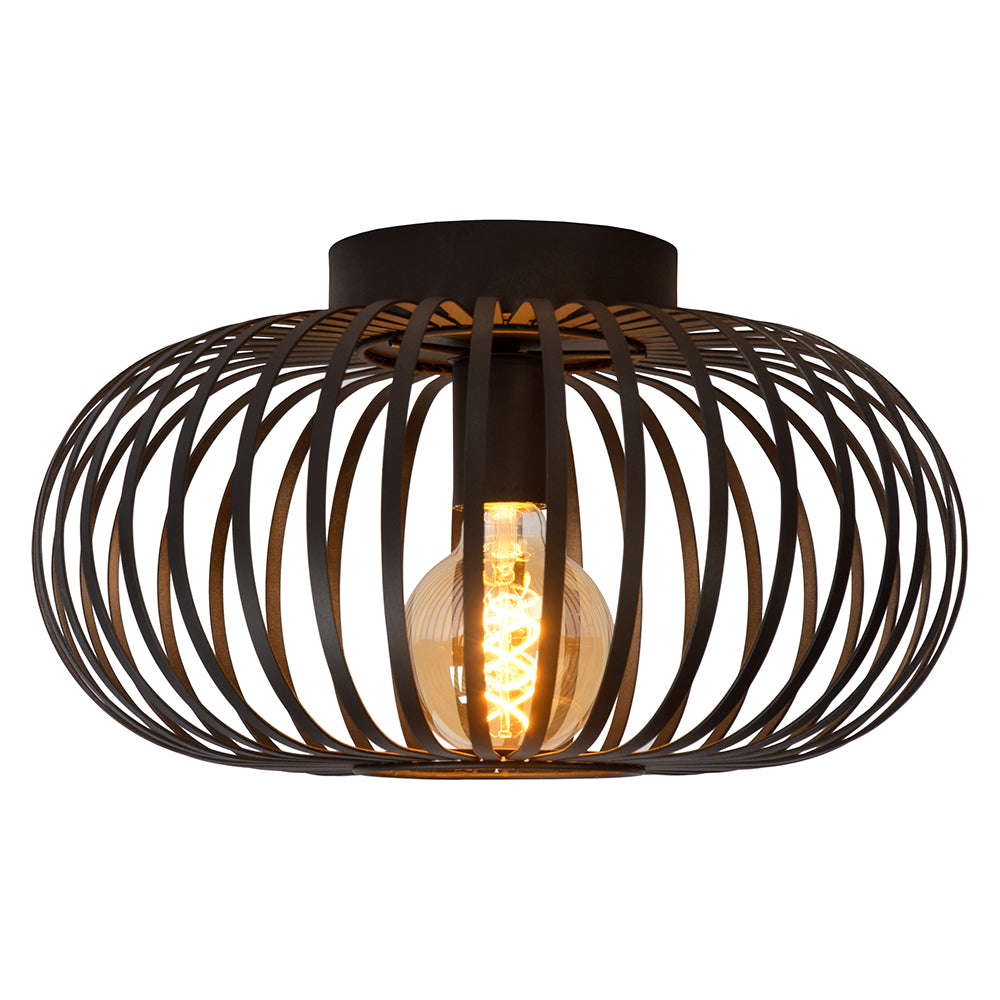 LPC4321 Ceiling Light