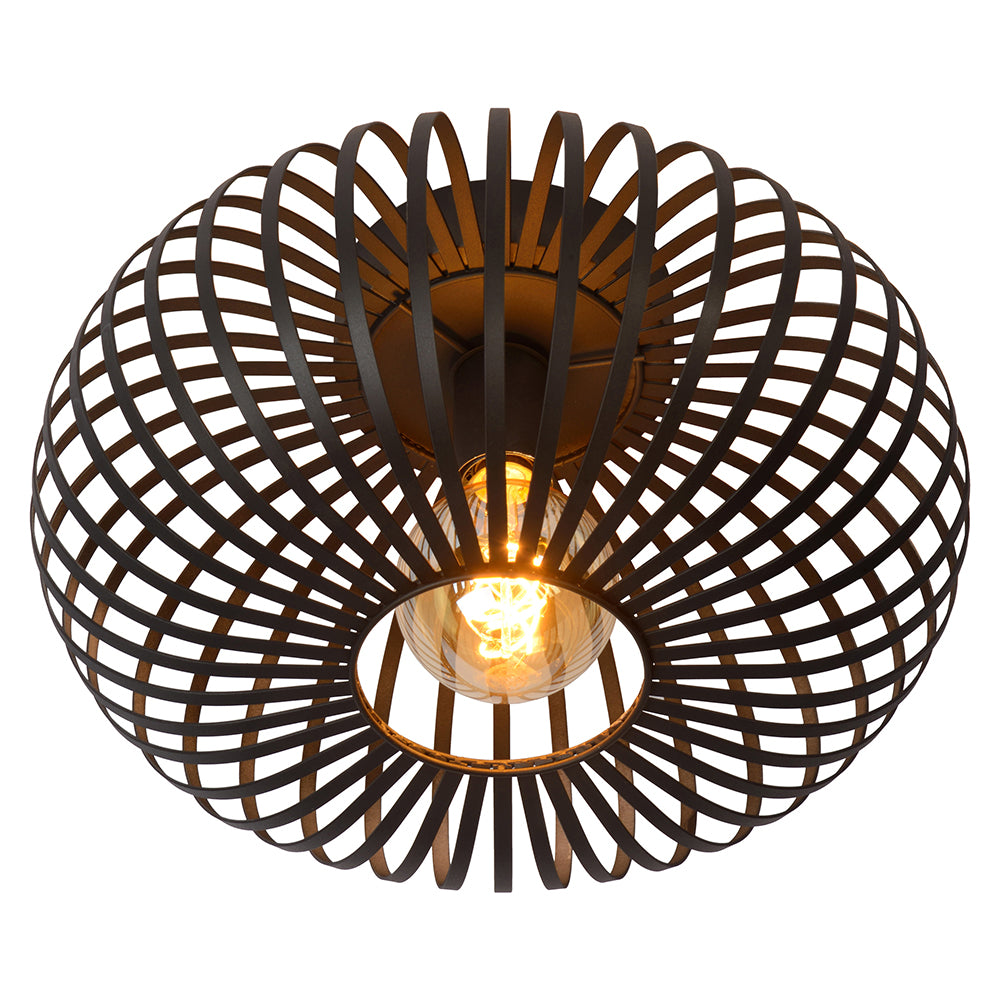LPC4321 Ceiling Light