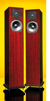 Totem Staff Tower Speakers Mahogany (Demo)