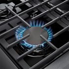 30 Inch Professional Stainless Steel Gas Range