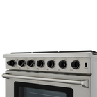 36 Inch Professional Stainless Steel Gas Range