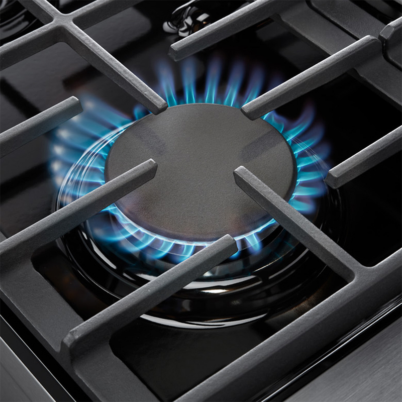 48 Inch Professional Stainless Steel Gas Range
